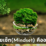 มายเซ็ทคืออะไร