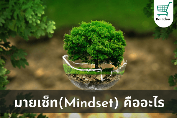 มายเซ็ทคืออะไร