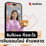 bulkieeคืออะไร