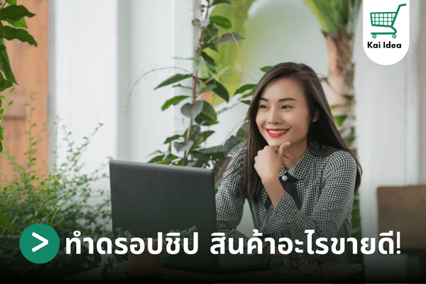 ทำดรอปชิปสินค้าอะไรขายดี